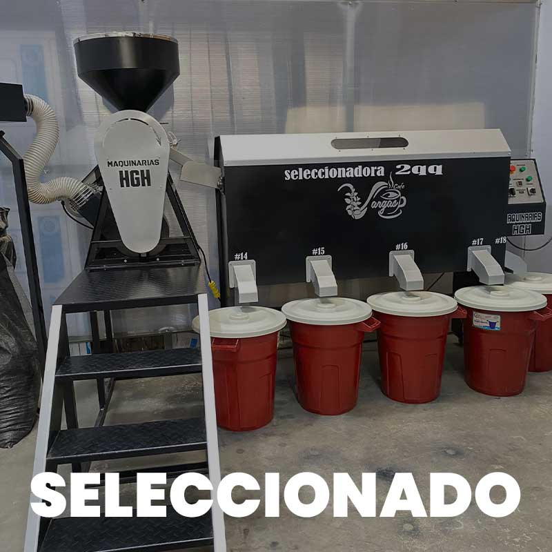 seleccionado
