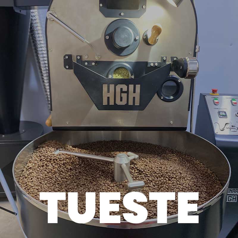 tueste
